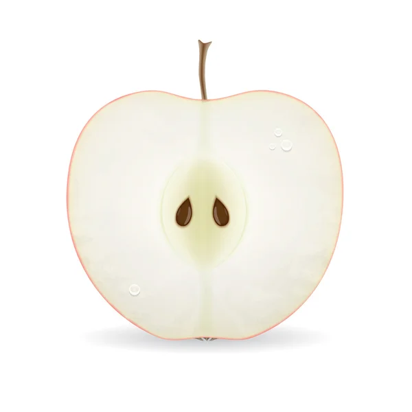 Tranche de pomme — Image vectorielle