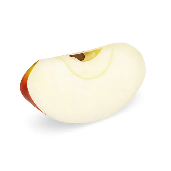 Lóbulo de manzana — Vector de stock