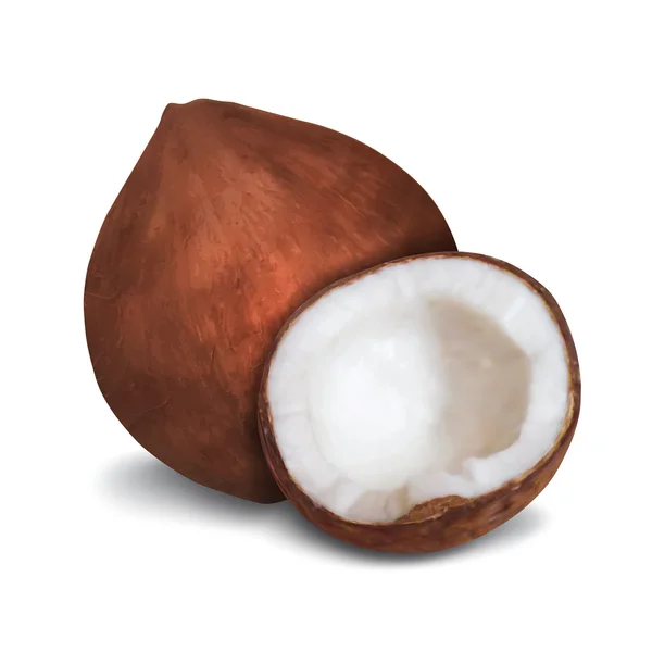 Noix de coco — Image vectorielle