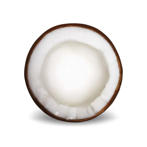 Noix de coco — Image vectorielle