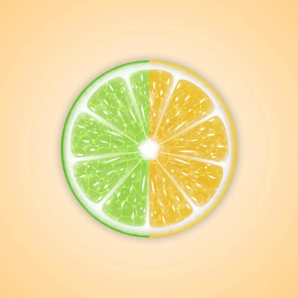 Bakgrund med citrusfrukter — Stock vektor