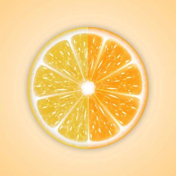 柑橘系の果物と背景 — ストックベクタ