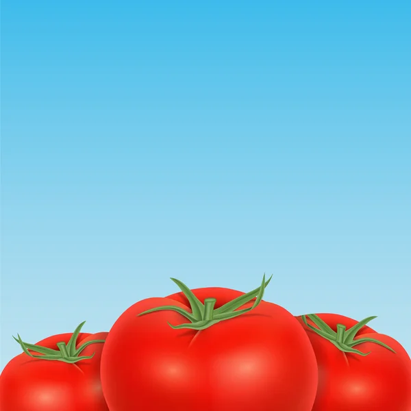 Tomate — Vetor de Stock