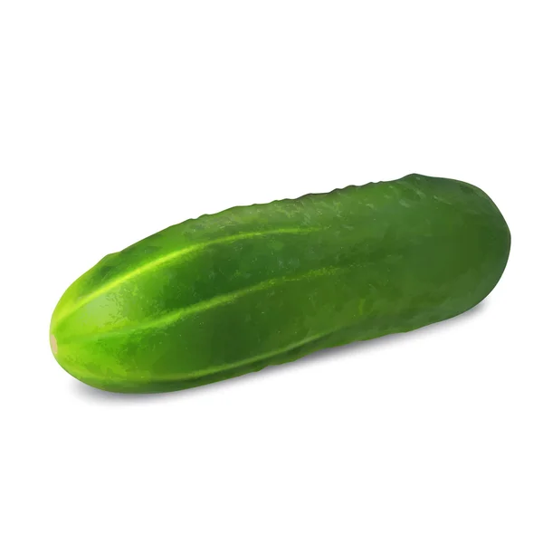 Pepino — Vector de stock