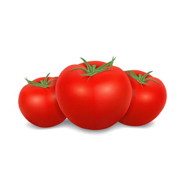 Tomates — Image vectorielle