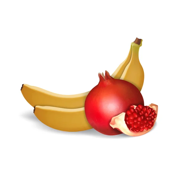 Fresh pomegranate and bananas — Stock Vector