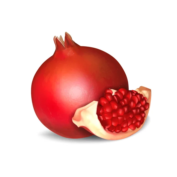 Färskt granatäpple — Stock vektor