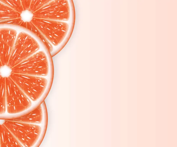 Rodajas de pomelo — Vector de stock