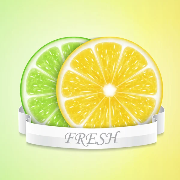 Lemon and lime slices — Stock Vector