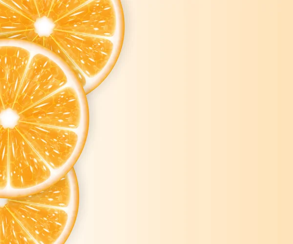 Rodajas de naranja — Vector de stock