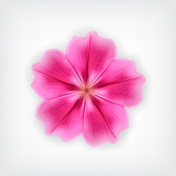 Рожева квітка — Stockvector