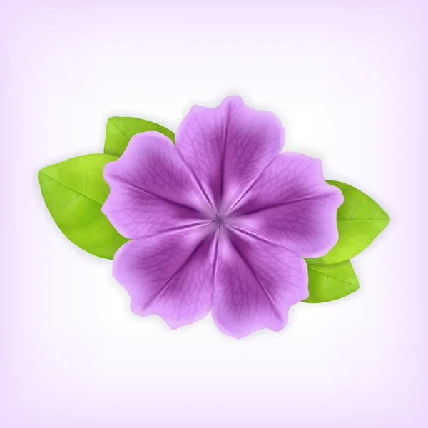 Flor púrpura — Vector de stock