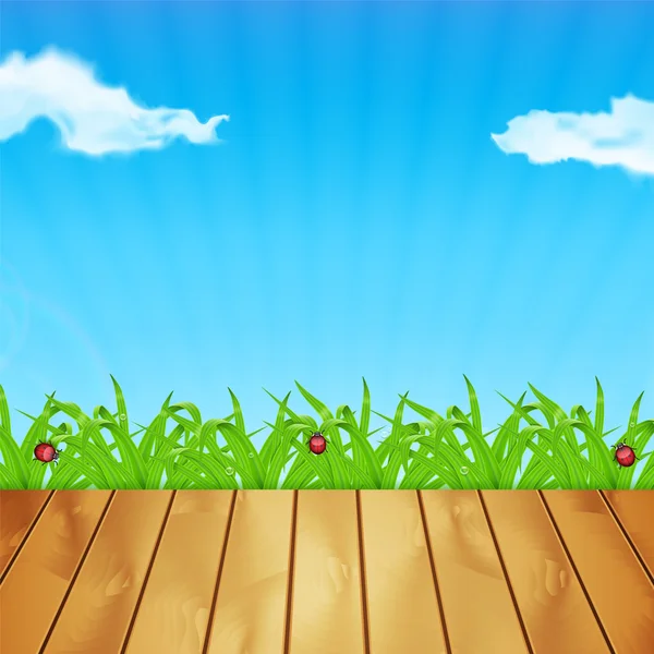 Arrière-plan avec herbe verte — Image vectorielle