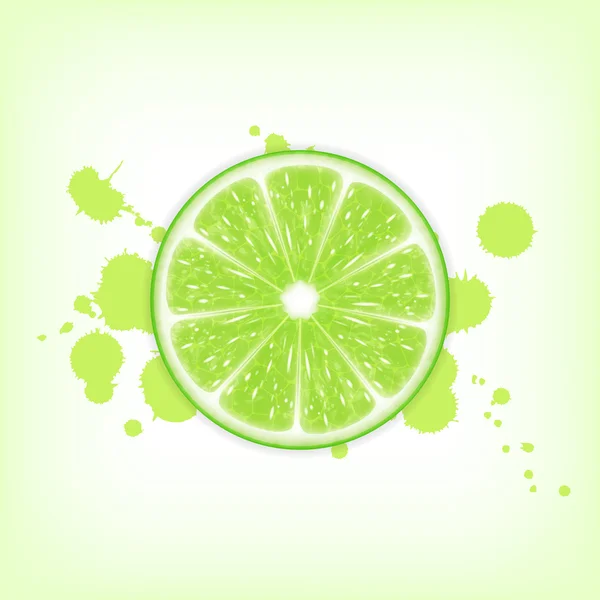 Lime skiva — Stock vektor