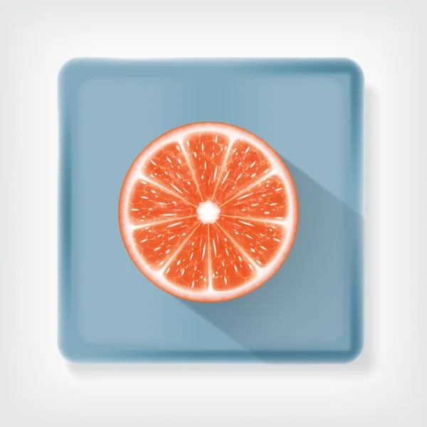 Grapefruit — Stock Vector