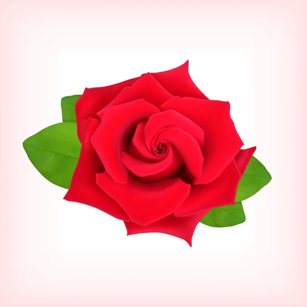 Rosa roja — Vector de stock