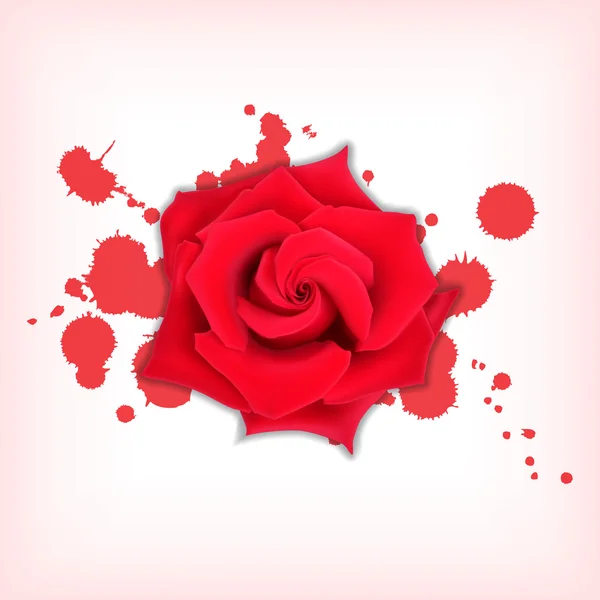 Rosa vermelha com salpicos — Vetor de Stock