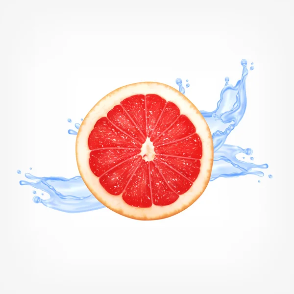 Grapefruit slice with water — Stock Vector