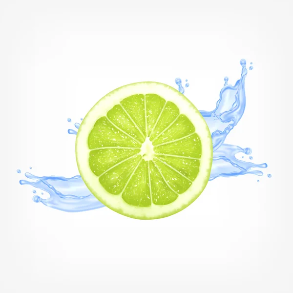 Rebanada de cal con agua — Vector de stock