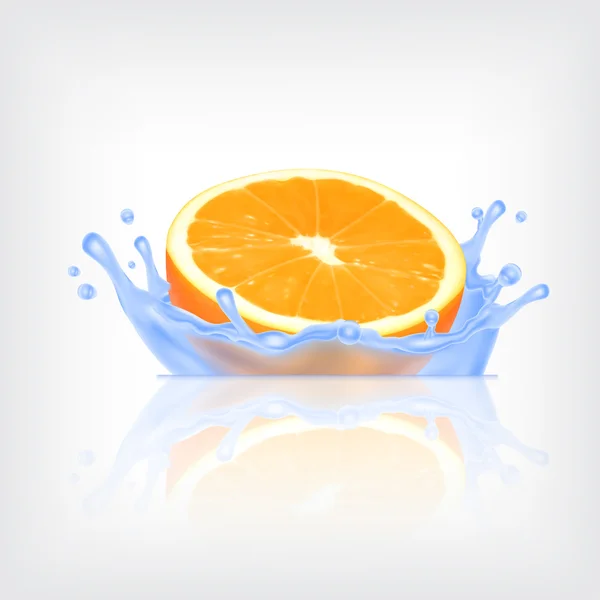Orange frukt och watert — Stock vektor