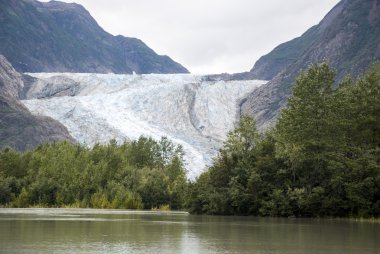 USA Alaska - buzul noktası vahşi Safari - Davidson Buzulu