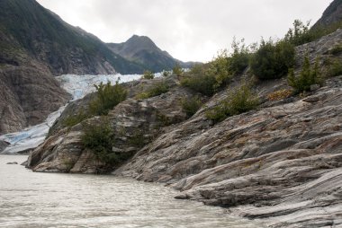 USA Alaska - buzul noktası vahşi Safari - Davidson Buzulu