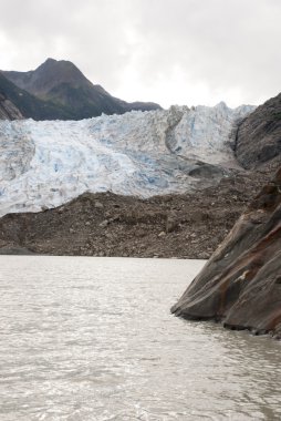 USA Alaska - buzul noktası vahşi Safari - Davidson Buzulu