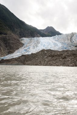 USA Alaska - buzul noktası vahşi Safari - Davidson Buzulu