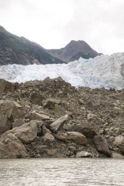 USA Alaska - buzul noktası vahşi Safari - Davidson Buzulu