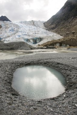 USA Alaska - buzul noktası vahşi Safari - Davidson Buzulu