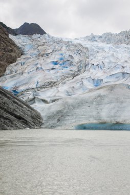 USA Alaska - buzul noktası vahşi Safari - Davidson Buzulu