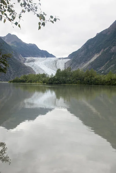 USA Alaska - The Glacier Point Wilderness Safari - Davidson Glacier — Stock Photo, Image