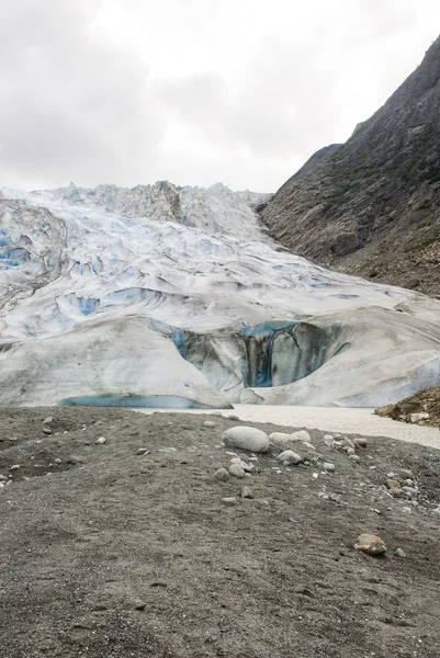 Estados Unidos Alaska - The Glacier Point Wilderness Safari - Glaciar Davidson — Foto de Stock