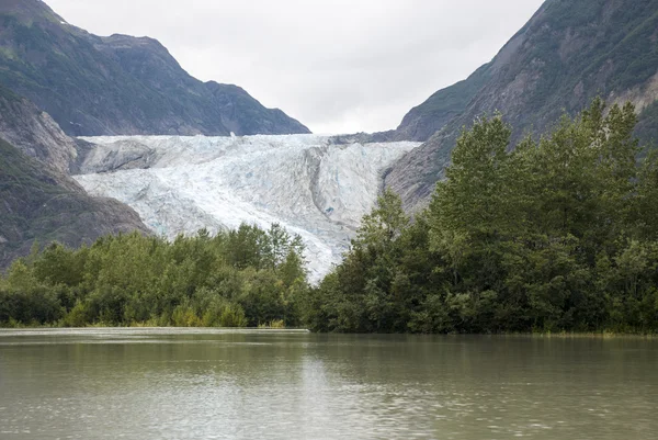 USA Alaska - Safari punkt bezdroża lodowiec - Davidson lodowiec — Zdjęcie stockowe