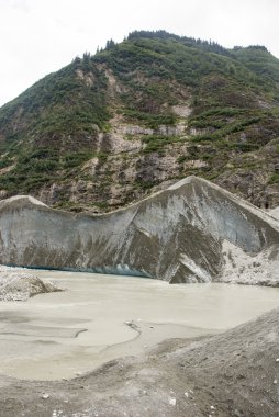 USA Alaska - buzul noktası vahşi Safari - Davidson Buzulu