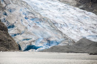 USA Alaska - buzul noktası vahşi Safari - Davidson Buzulu