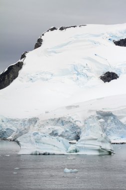 -Küresel ısınma - Antarktika buz oluşumları sahil şeridi 