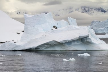 Antarktika - sekmeli buzdağı Güney okyanusta yüzen