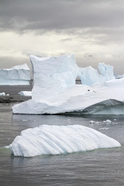 Antarktyda - Iceberg tabelarycznych pływające w oceanie południowym — Zdjęcie stockowe