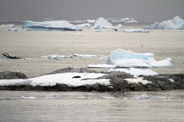 Línea costera de la Antártida - Calentamiento global - Formaciones de hielo — Foto de Stock