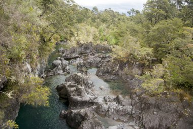 Görünümü, Vicente Perez Rosales Milli Parkı - Şili