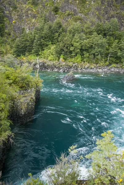 Visa av Vicente Perez Rosales National Park - Chile — Stockfoto