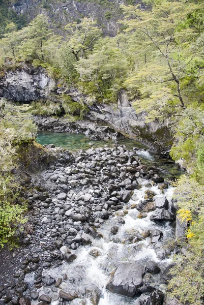 Veduta del Parco Nazionale Vicente Perez Rosales - Cile — Foto Stock