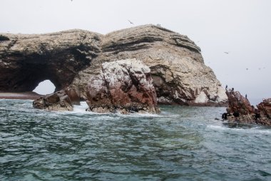 Ballestas Adaları - Pisco - Peru