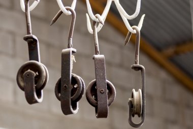 Shepherd'ın araçları