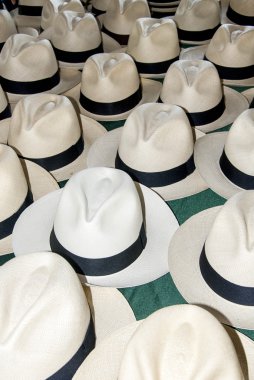 Aksesuar - panama şapka