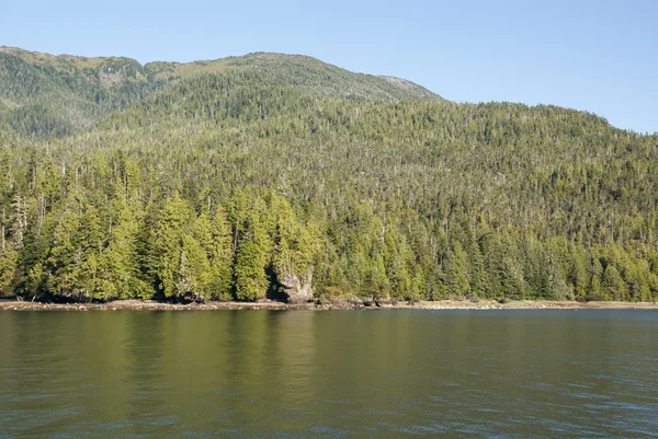 Kreuzfahrt in nebligen Fjorden Nationaldenkmal — Stockfoto