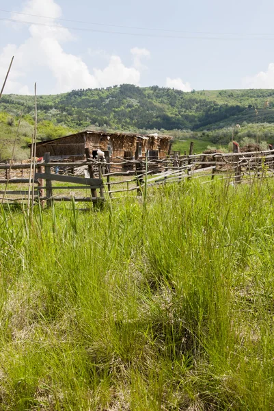 Buzau - Rumania - Hora de verano en el campo —  Fotos de Stock