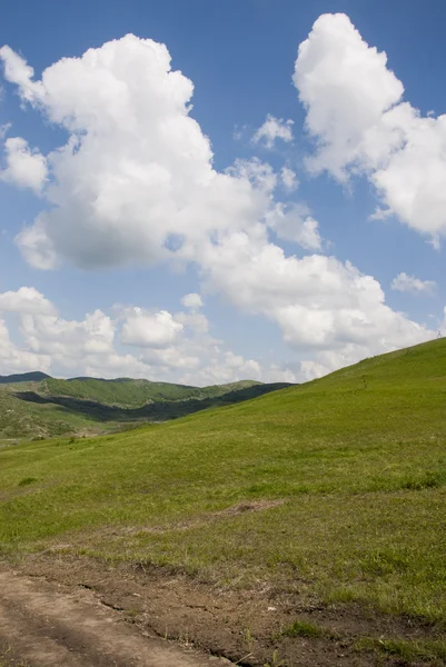 Kırlarda Buzau - Romanya - yaz saati — Stok fotoğraf