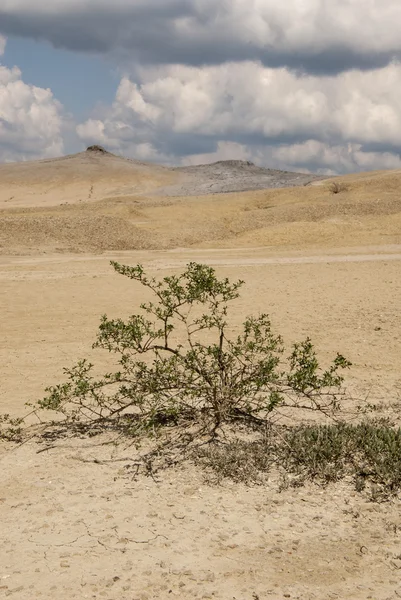 Leriga vulkaner Reservation i Rumänien - Buzau - Berca — Stockfoto